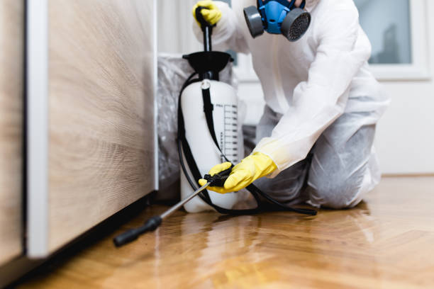 Best Best Pest Control Companies  in Walnut, CA