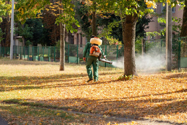 Pest Prevention Services in Walnut, CA