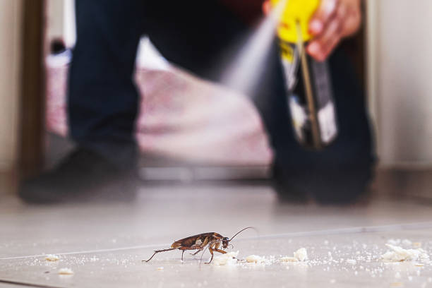 Best Pest Control Near Me in Walnut, CA
