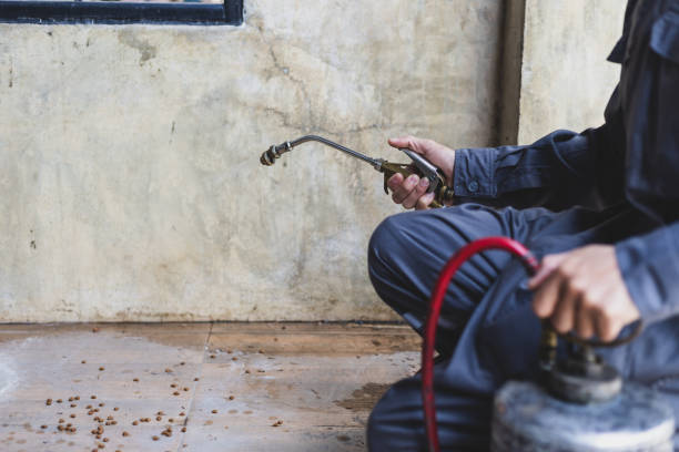 Best Rat Extermination Near Me  in Walnut, CA